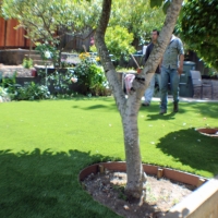 Best Artificial Grass Pedley, California Landscape Ideas, Backyard Landscape Ideas