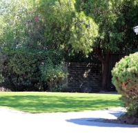 Fake Grass Bradbury, California Artificial Grass For Dogs, Front Yard