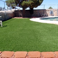 Fake Grass Carpet Palm Springs, California Pictures Of Dogs, Kids Swimming Pools