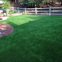 Fake Lawn Anza, California Dog Running, Small Backyard Ideas