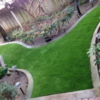 Grass Carpet San Pedro, California Lawn And Garden, Backyards