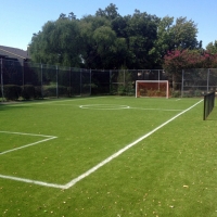 Synthetic Grass Cost Mission Viejo, California Red Turf, Commercial Landscape