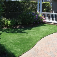 Synthetic Turf Supplier Westwood, California Indoor Dog Park, Front Yard Design