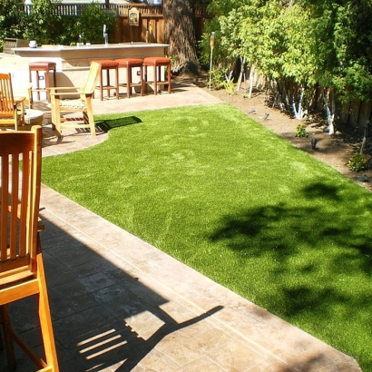Artificial Grass Arcadia, California Pet Turf, Small Backyard Ideas