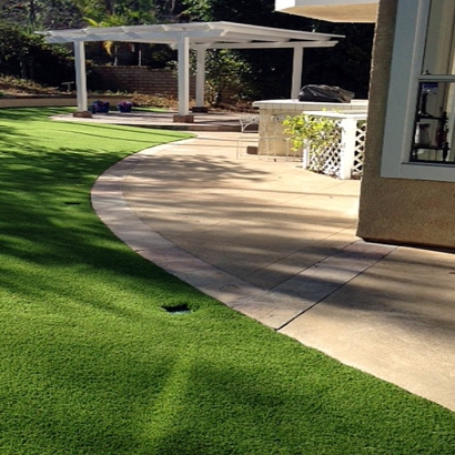 Artificial Grass Carpet Glendale, California Dog Run, Front Yard Landscaping