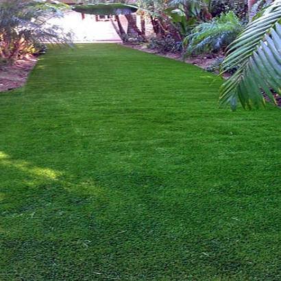 Synthetic Grass in Norwalk, California