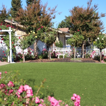 Synthetic Turf: Resources in Pion Hills, California