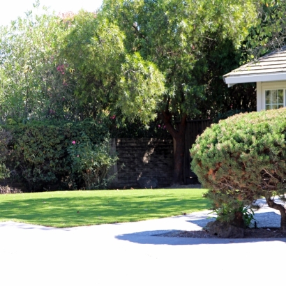Backyard Putting Greens & Synthetic Lawn in Idyllwild-Pine Cove, California