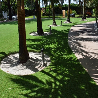 Synthetic Grass in Inglewood, California
