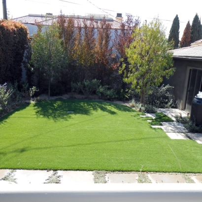 Artificial Grass in La Palma, California