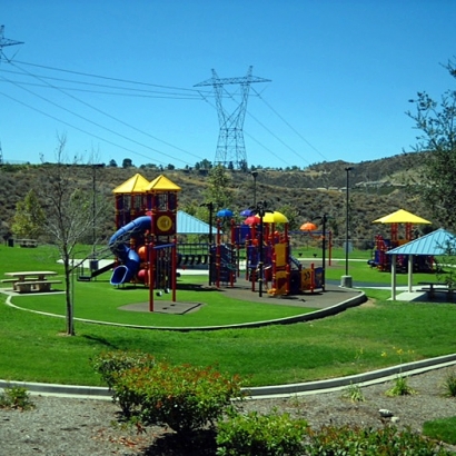 Artificial Lawn Crestline, California City Landscape, Parks