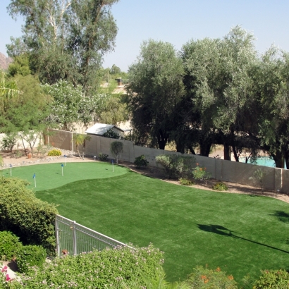 Artificial Turf Installation Phelan, California Backyard Putting Green, Backyard Landscaping