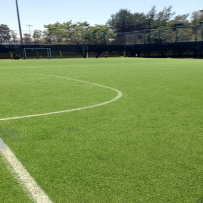 Artificial Turf in West Athens, California