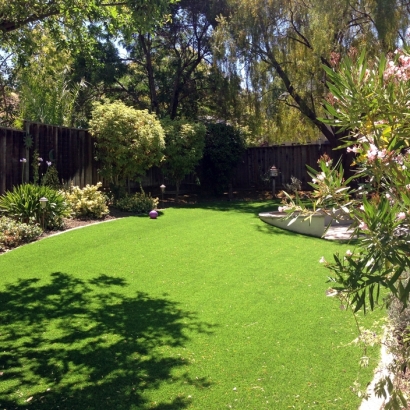 Synthetic Grass in East San Gabriel, California