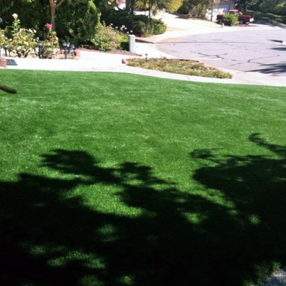 Artificial Grass in Sedco Hills, California