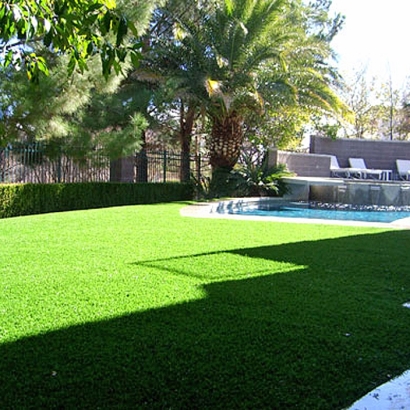 Best Artificial Grass Dana Point, California Paver Patio, Backyard Design