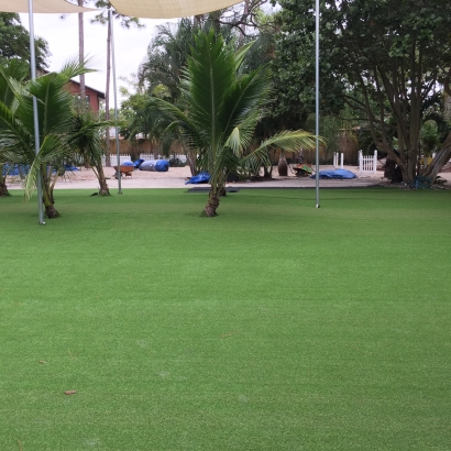 Best Artificial Grass North Hollywood, California Lawns, Commercial Landscape