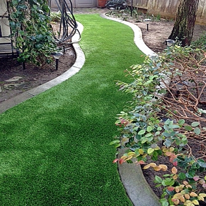 Fake Grass Carpet Bradbury, California Home And Garden, Backyard Garden Ideas