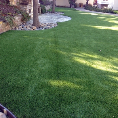 Synthetic Turf: Resources in Las Flores, California