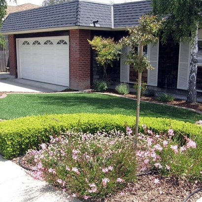 Fake Grass Carpet Temple City, California Lawn And Garden, Front Yard Ideas
