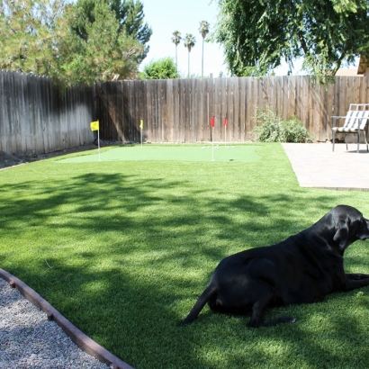 Fake Grass Inglewood, California How To Build A Putting Green, Beautiful Backyards