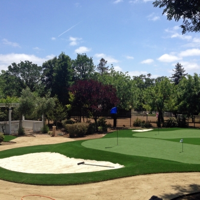 Fake Grass Lomita, California Putting Green Carpet, Front Yard Landscape Ideas