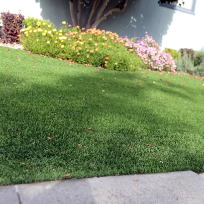 Synthetic Turf: Resources in Los Osos, California