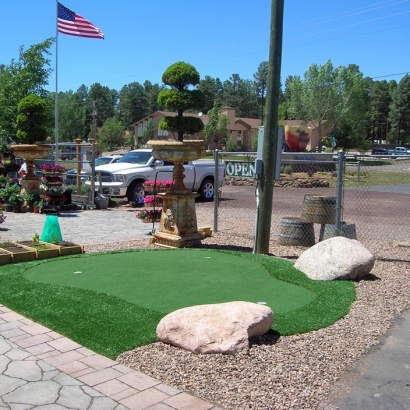 Faux Grass Temecula, California Indoor Putting Greens, Commercial Landscape