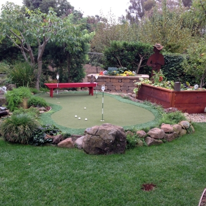 Grass Carpet San Fernando, California Indoor Putting Greens, Backyard Landscape Ideas