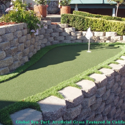 Grass Carpet Stanton, California Outdoor Putting Green, Small Backyard Ideas