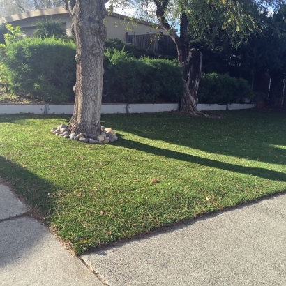 Grass Installation Carson, California Landscaping Business, Front Yard Landscape Ideas