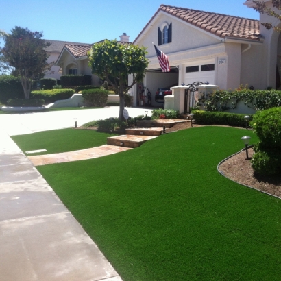 Synthetic Grass in Muscoy, California