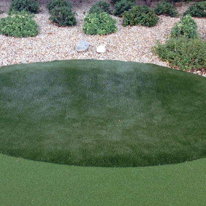 Putting Greens & Synthetic Turf in North Hollywood, California
