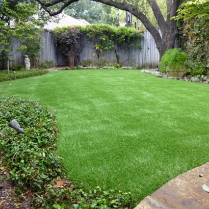 Fake Grass in Lake Los Angeles, California - Better Than Real