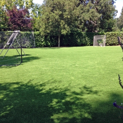 Synthetic Grass Warehouse - The Best of Canyon Lake, California