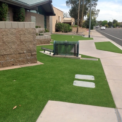 Synthetic Grass in Pedley, California