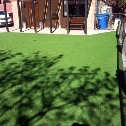 Outdoor Carpet West Athens, California Landscape Ideas, Backyard Landscaping