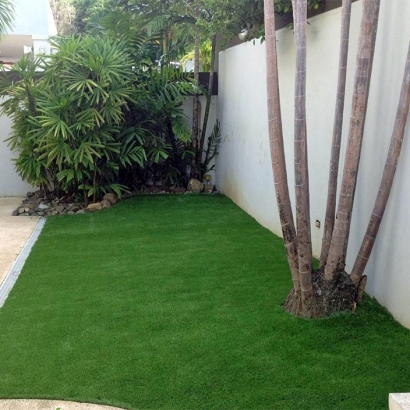 Home Putting Greens & Synthetic Lawn in West Carson, California