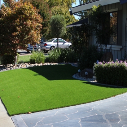Synthetic Grass in Home Gardens, California