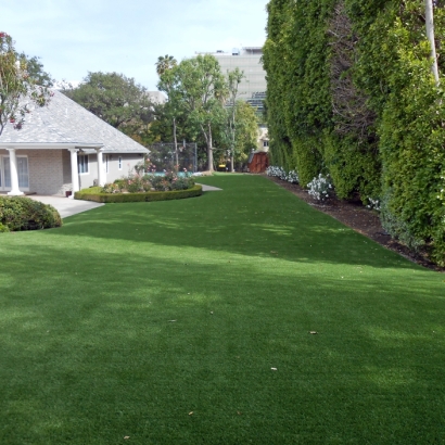 Synthetic Grass Cost Midway City, California Artificial Turf For Dogs, Front Yard Ideas