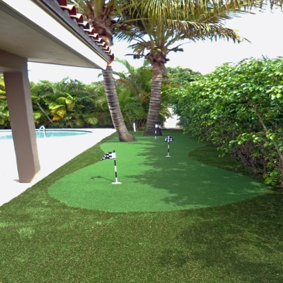 Indoor & Outdoor Putting Greens & Lawns Oak Park, California