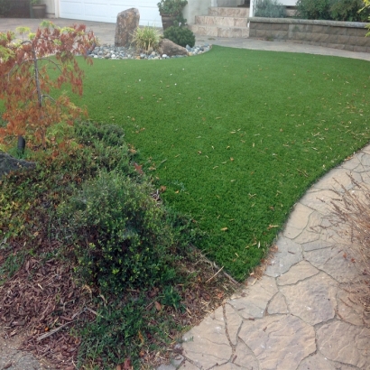 Synthetic Grass Fullerton, California Watch Dogs, Beautiful Backyards