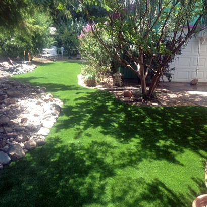 Artificial Grass in Murrieta Hot Springs, California