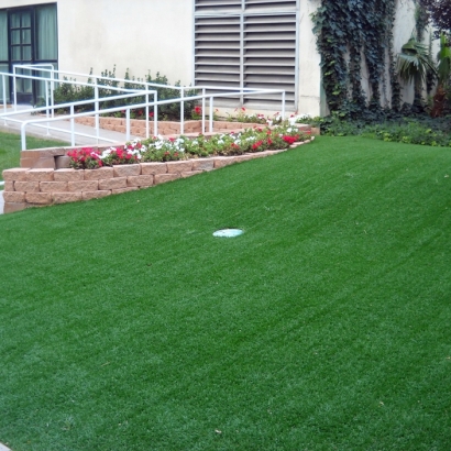 Synthetic Lawn Camarillo, California Garden Ideas, Commercial Landscape