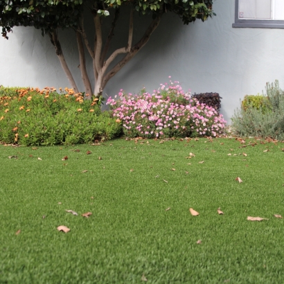 Synthetic Lawn Hawthorne, California Garden Ideas, Front Yard Ideas