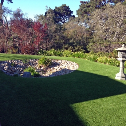 Synthetic Turf La Puente, California Garden Ideas, Backyard Landscaping Ideas