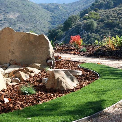 Synthetic Turf Laguna Woods, California Landscaping, Front Yard Ideas