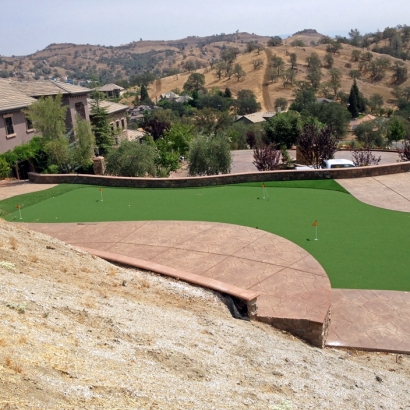 Synthetic Turf North Glendale, California Indoor Putting Green, Backyard Makeover