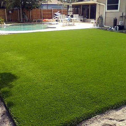 Synthetic Turf Sierra Madre, California Backyard Playground, Natural Swimming Pools