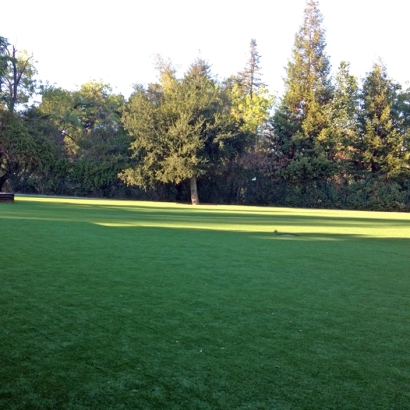 Synthetic Grass in Beverly Hills, California